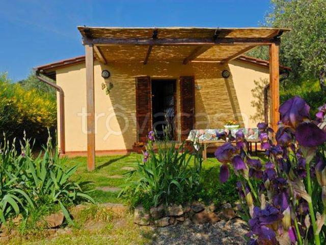 Villa in in affitto da privato a Calci via Calcesana, 5, giardino, da privato, vista panoramica TrovaCasa