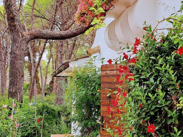 Villa in in affitto da privato a Castellaneta ginepri, giardino, da privato, aria condizionata TrovaCasa