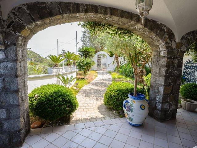 Villa in in affitto da privato a Forio via Giovanni Mazzella, 276, giardino privato, terrazzo, da privato TrovaCasa