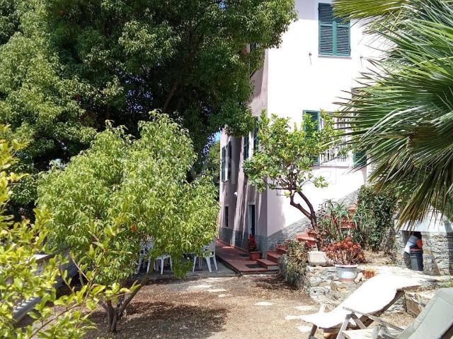 Villa in in affitto da privato a Imperia via Giuseppe Airenti, 66, giardino, da privato, riscaldamento autonomo TrovaCasa