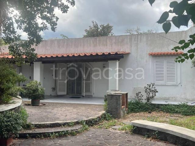 Villa in in affitto da privato a Ischia via Fondo Bosso, 6, giardino privato, da privato TrovaCasa