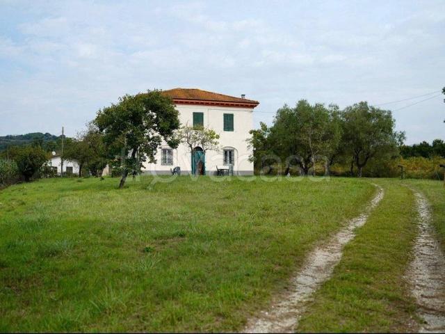 Villa in in affitto da privato a Lucca via dei Cotani, 211, da privato TrovaCasa