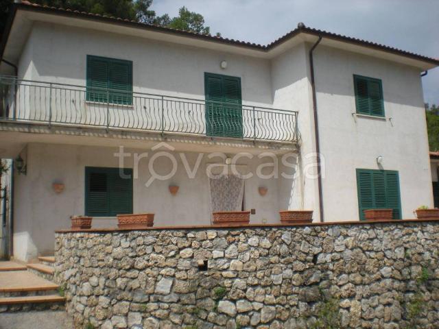 Villa in in affitto da privato a Maratea piazza Europa, terrazzo, da privato, cucina abitabile TrovaCasa