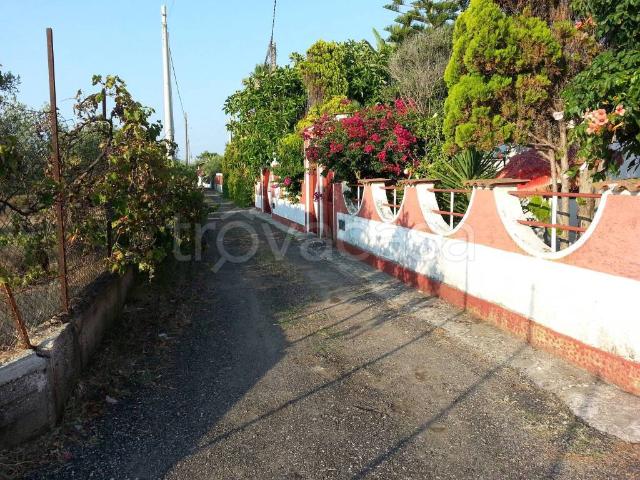 Villa in in affitto da privato a Palmi via Scinà, 39, box, da privato, cucina abitabile TrovaCasa