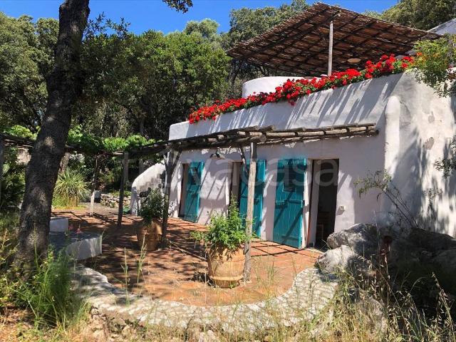 Villa in in affitto da privato a San Felice Circeo via delle Batterie, 24, giardino, terrazzo, da privato TrovaCasa