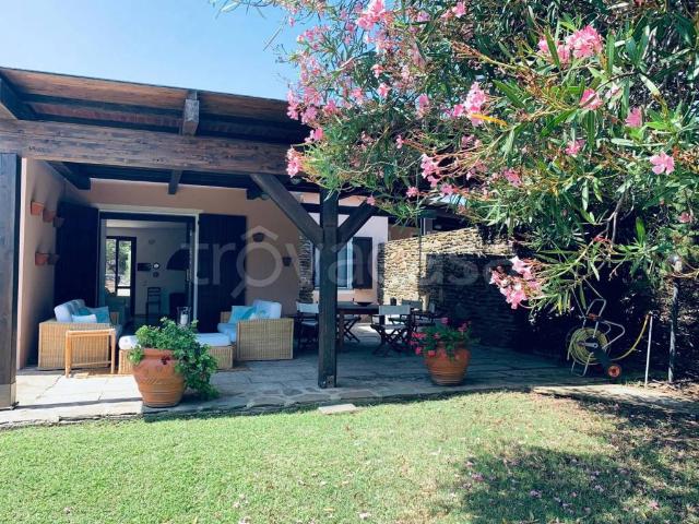 Villa in in affitto da privato a Stintino località Capo Falcone, giardino, da privato, luminoso TrovaCasa