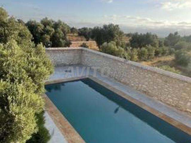 Villa Joudar – Essaouira, calme et confort