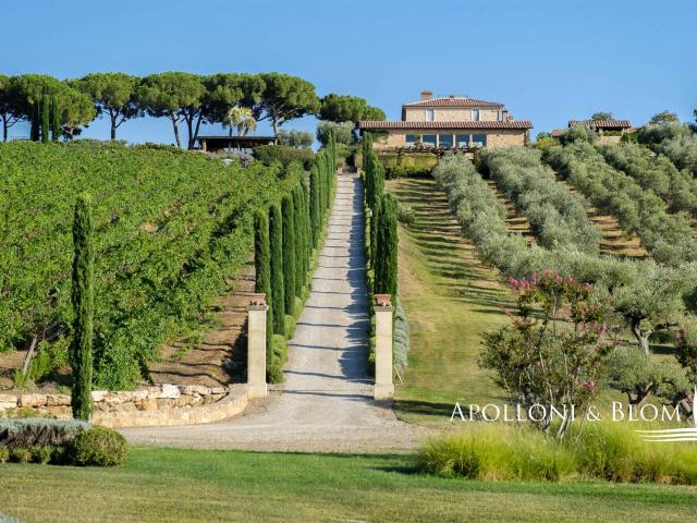 Villa La Maremma tenuta di lusso con vigneti Toscana 2633m² Massa Marittima