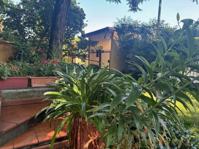 Villa laterale con giardino piantumato