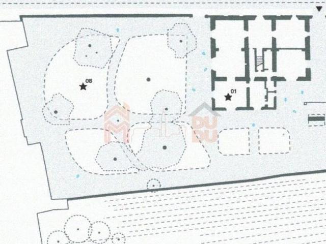 Villa Leopoldina fine 800