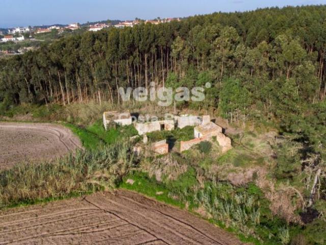 villa Leiria Óbidos 2510 DLS97378654