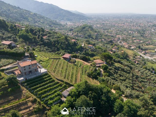 Villa Mare