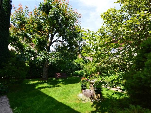 Villa mit hohem Potenzial + umwandelbarer Dachboden Südwestgarten