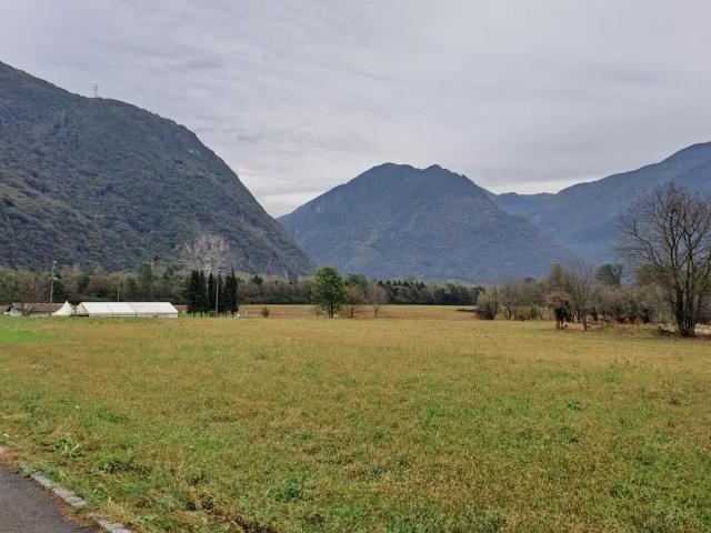 Villa monofamigliare Einfamilienhaus/Villa | dreamo. Ch