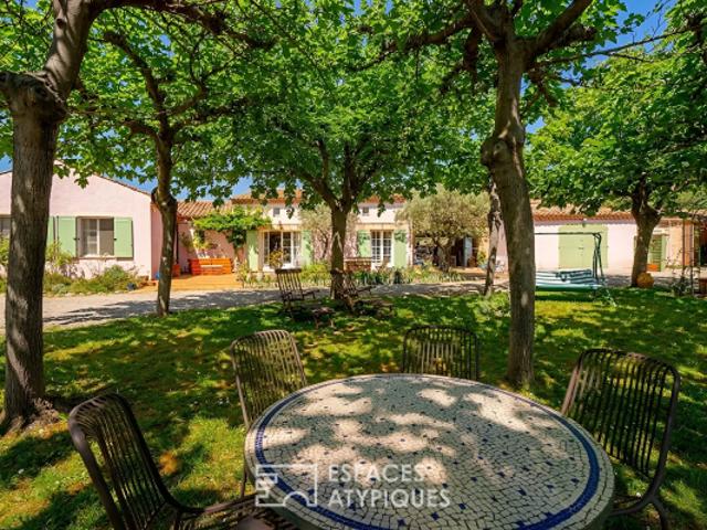 Villa néo provençale et son oliveraie dans le Haut Var