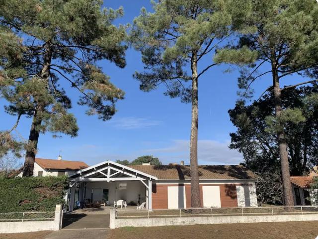 Villa piscine Bord de forêt