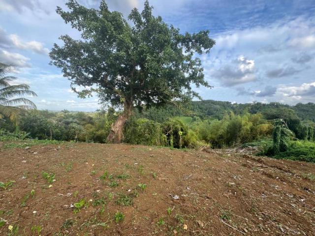 VILLA Plain pied à la vente Petit bourg retour à la vente