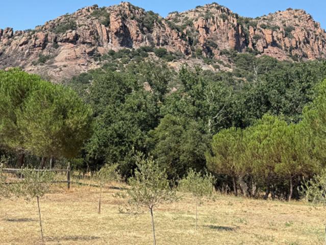 Villa Roquebrune Sur Argens 4 pièce s 150 m2