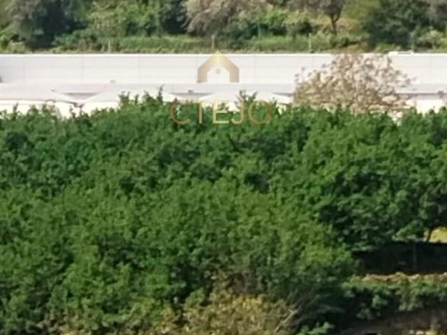 villa São Pedro do Sul Viseu DLS102630172