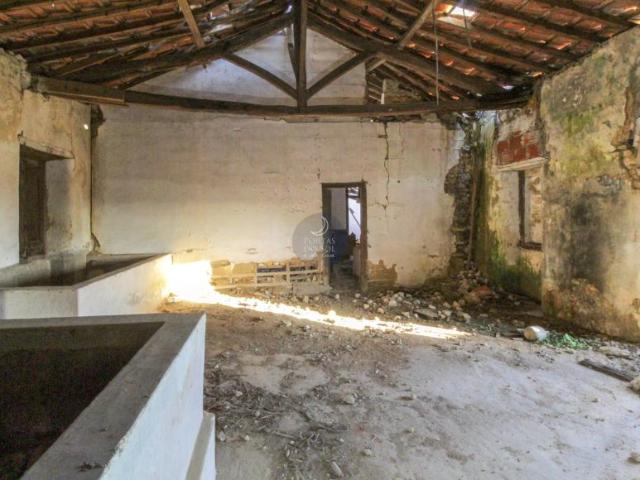 villa Santarém Santarém DS87453916
