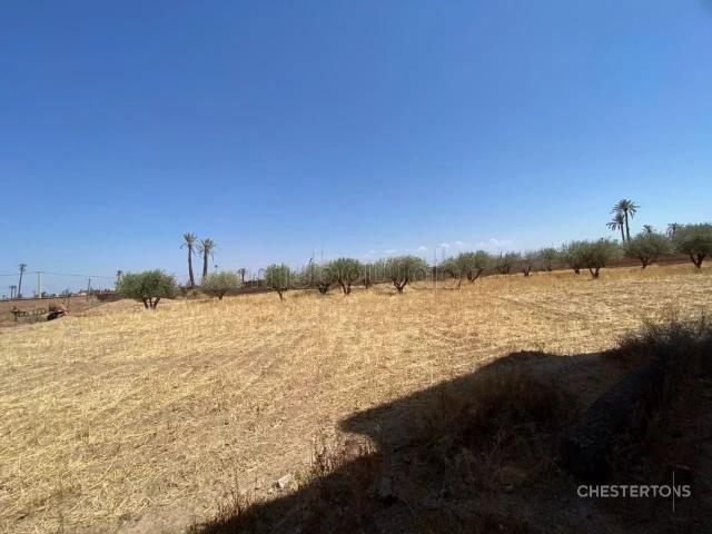 Villa semi finie à vendre – Bab Atlas, Marrakech