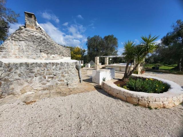 Villa singola in affitto