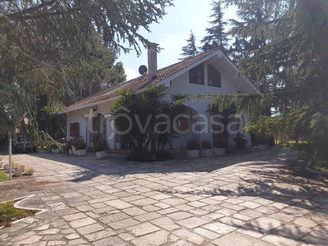Villa singola in affitto a Terlizzi
