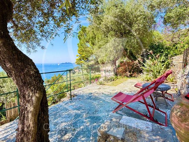 Villa singola in affitto a Zoagli