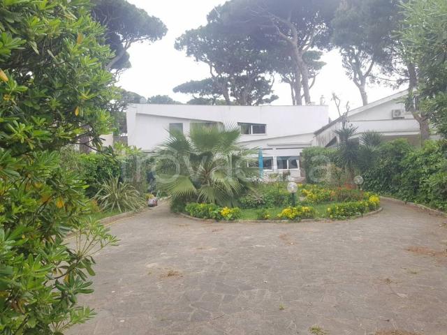 Villa singola in affitto a Fiumicino via Forte dei Marmi, Fregene