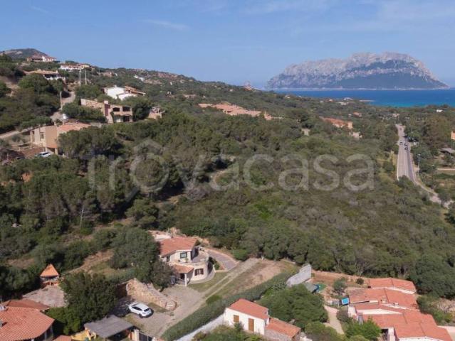 Villa singola in affitto a Olbia via Delle Ville, 20