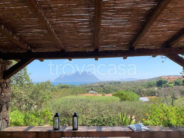 Villa singola in affitto a Olbia viale Porto Istana, 91