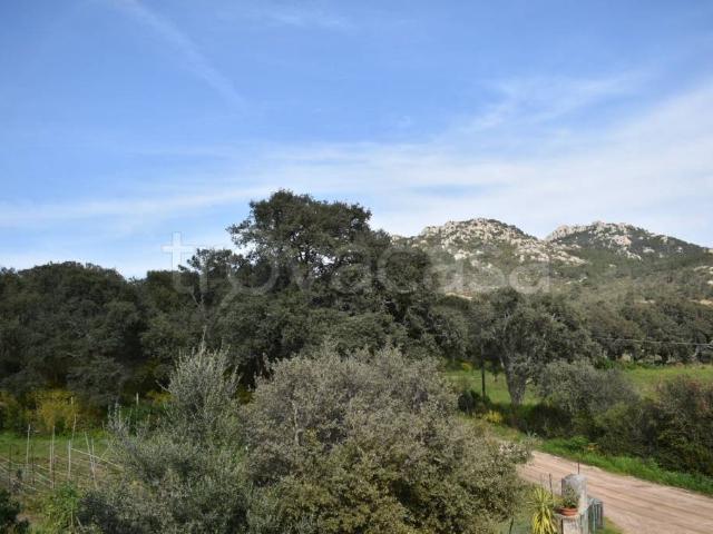 Villa singola in vendita a Telti
