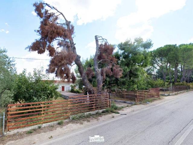 Villa singola in vendita a Terlizzi
