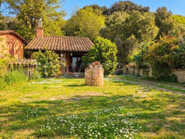 Villa singola in vendita a Trevignano Romano