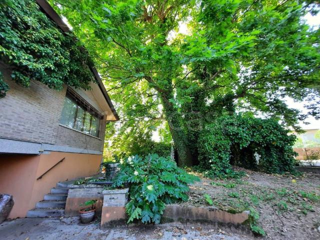 Villa singola in vendita a Trebaseleghe