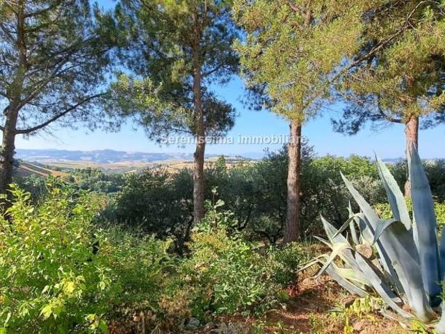 Villa singola in vendita a Vallefoglia via Montefabbri