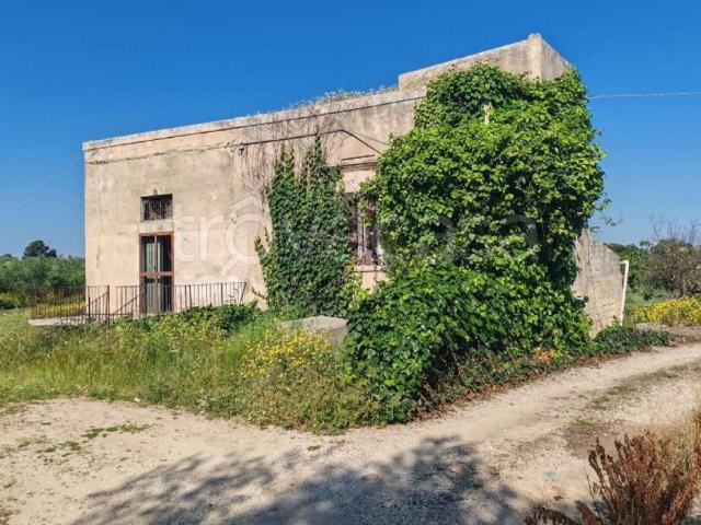 Villa singola in vendita a Bisceglie