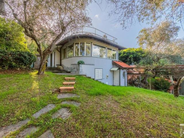Villa singola in vendita a Camaiore via Greppolungo