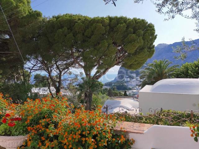 Villa singola in vendita a Capri via Cercola