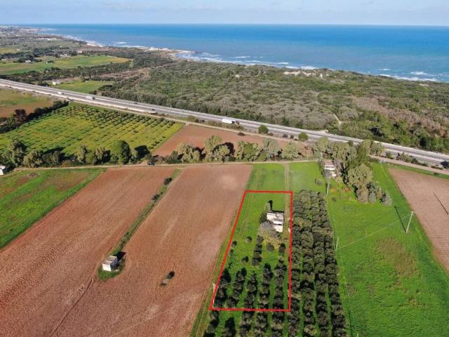 Villa singola in vendita a Carovigno
