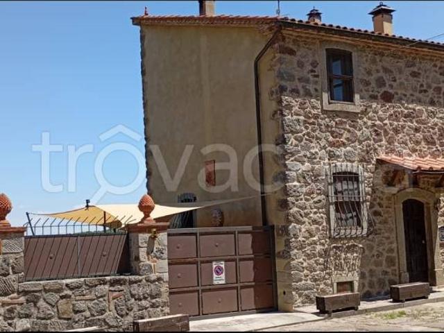 Villa singola in vendita a Castel del Piano vicolo della Pianetta