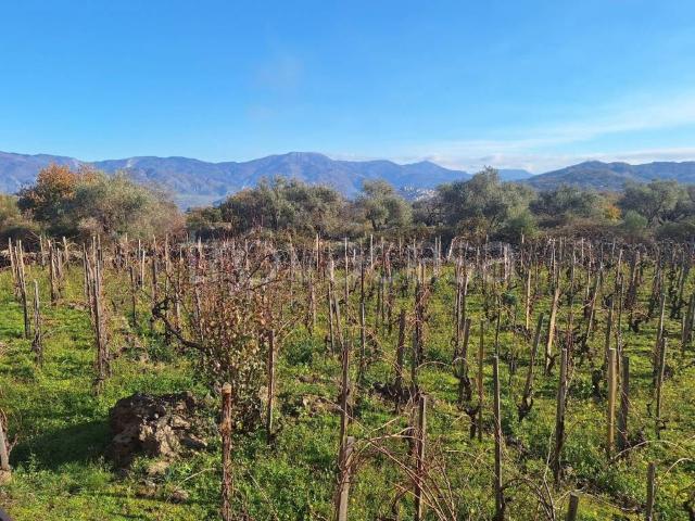 Villa singola in vendita a Castiglione di Sicilia, Solicchiata