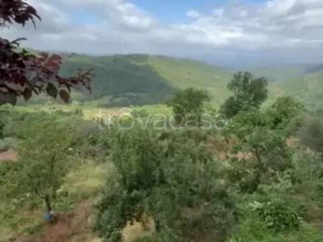 Villa singola in vendita a Casola, Casola in Lunigiana