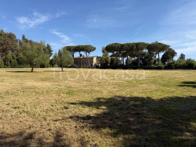 Villa singola in vendita a Cecina