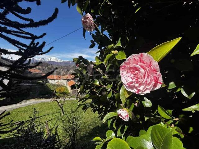 Villa singola in vendita a Cellio con Breia