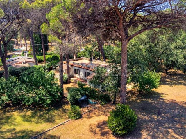 Villa singola in vendita a Cerveteri via di Ceri