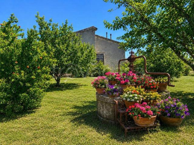 Villa singola in vendita a Cerveteri via Fontana Morella