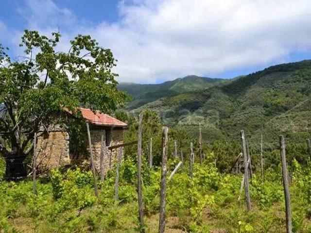 Villa singola in vendita a Ceriana strada Negre, 7