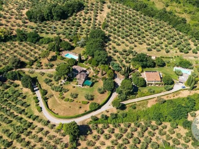 Villa singola in vendita a Cetona