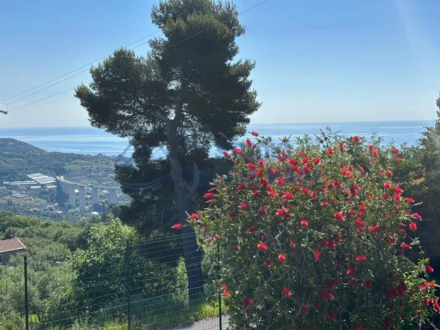 Villa singola in vendita a Cipressa strada Provinciale 45